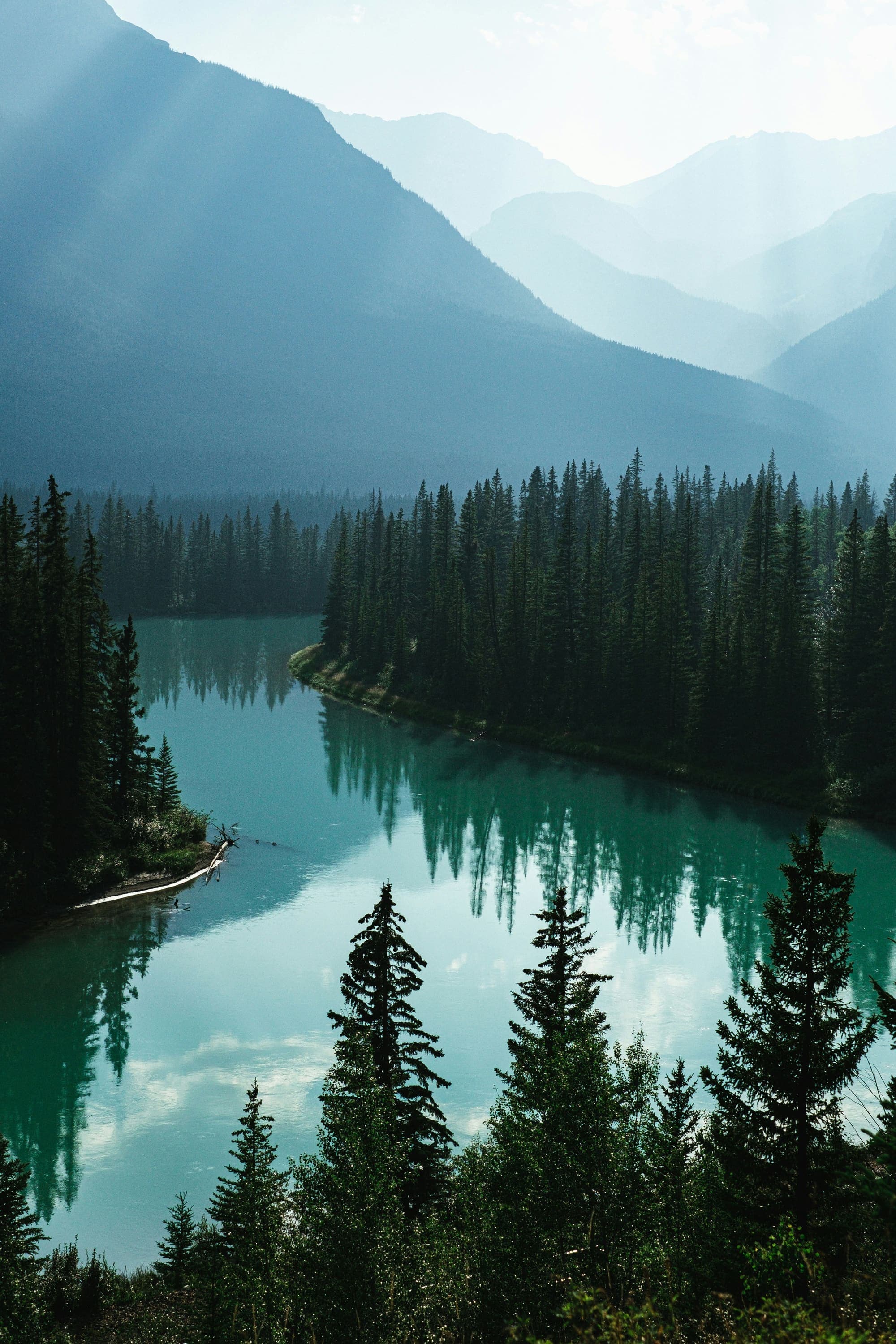 An emerald lake winding through evergreen forest